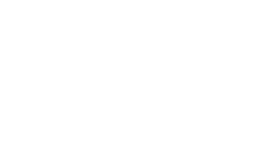 BRAVADA